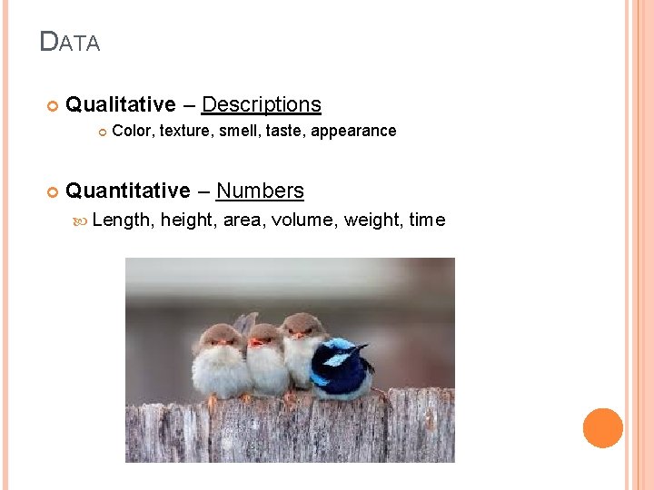 DATA Qualitative – Descriptions Color, texture, smell, taste, appearance Quantitative – Numbers Length, height,