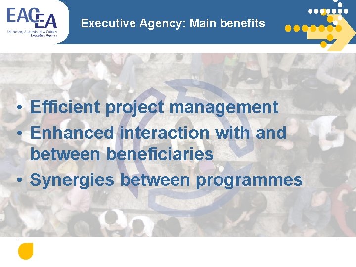 Executive Agency: Main benefits • Efficient project management • Enhanced interaction with and between