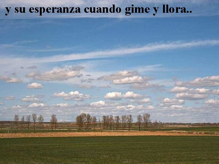 y su esperanza cuando gime y llora. . 