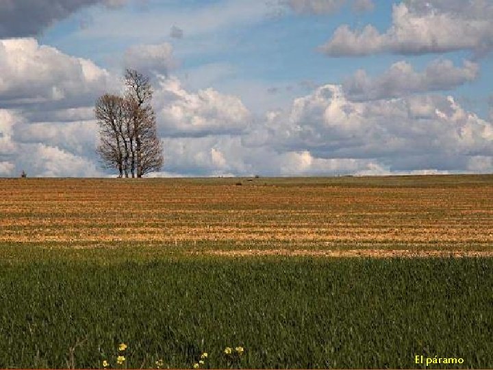El páramo 