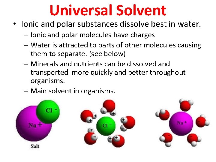 Universal Solvent • Ionic and polar substances dissolve best in water. – Ionic and