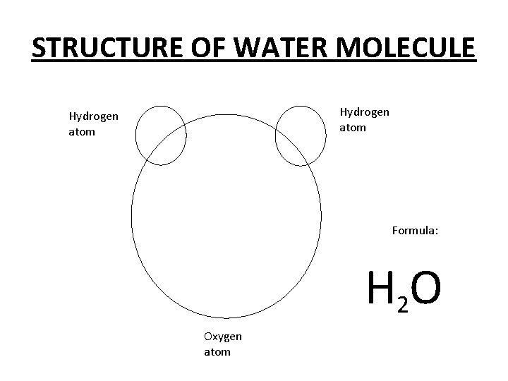 STRUCTURE OF WATER MOLECULE Hydrogen atom Formula: H 2 O Oxygen atom 