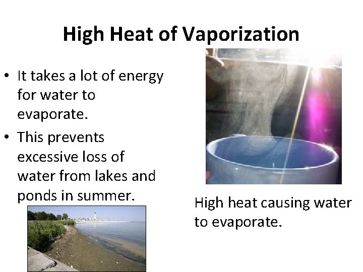 High Heat of Vaporization • It takes a lot of energy for water to