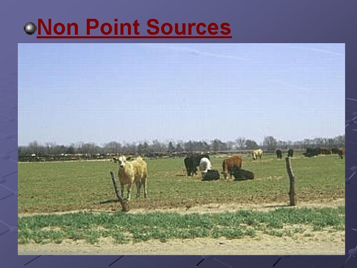 Non Point Sources 