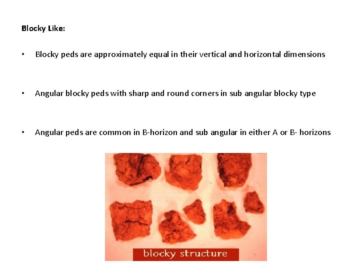 Blocky Like: • Blocky peds are approximately equal in their vertical and horizontal dimensions