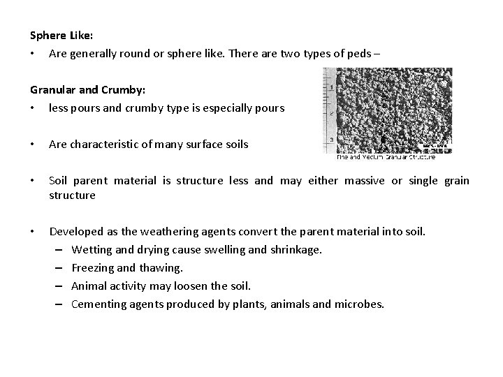 Sphere Like: • Are generally round or sphere like. There are two types of