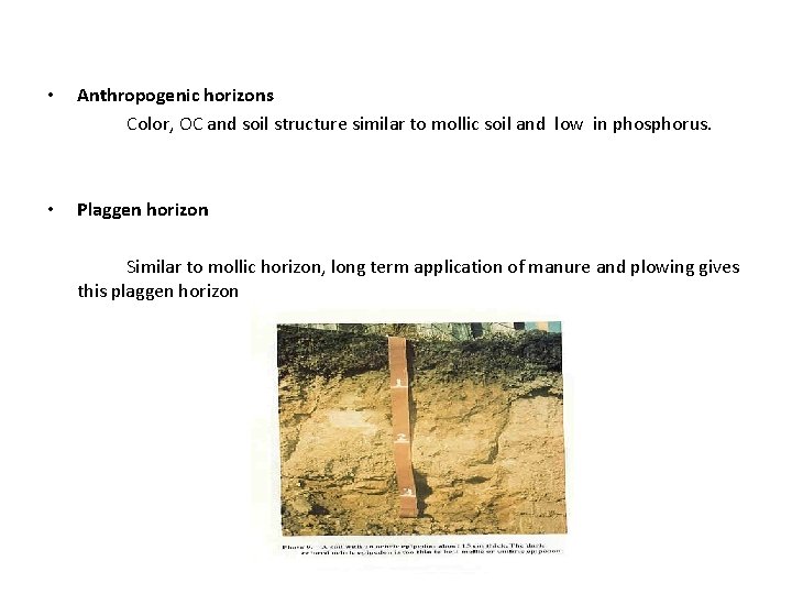  • Anthropogenic horizons Color, OC and soil structure similar to mollic soil and