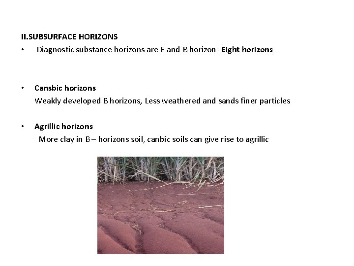 II. SUBSURFACE HORIZONS • Diagnostic substance horizons are E and B horizon- Eight horizons