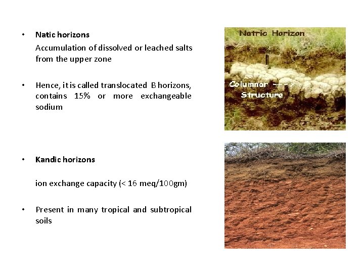  • Natic horizons Accumulation of dissolved or leached salts from the upper zone