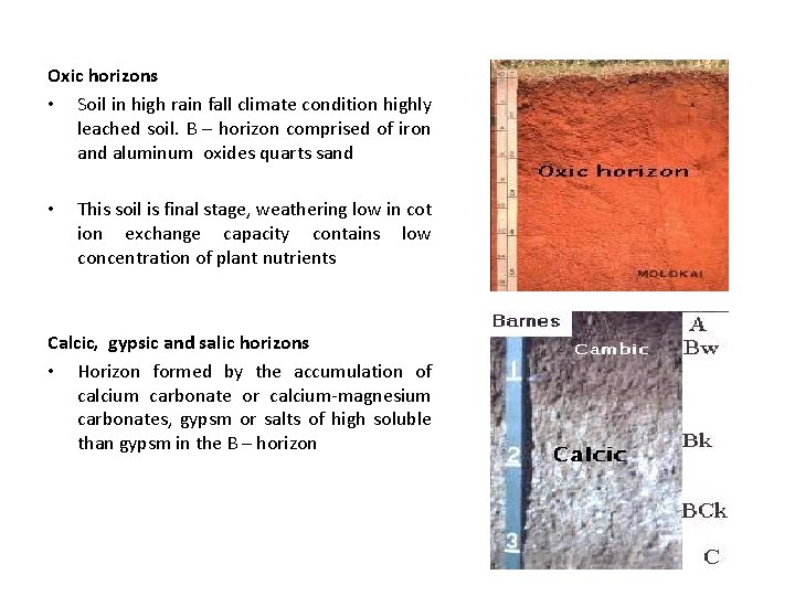 Oxic horizons • Soil in high rain fall climate condition highly leached soil. B