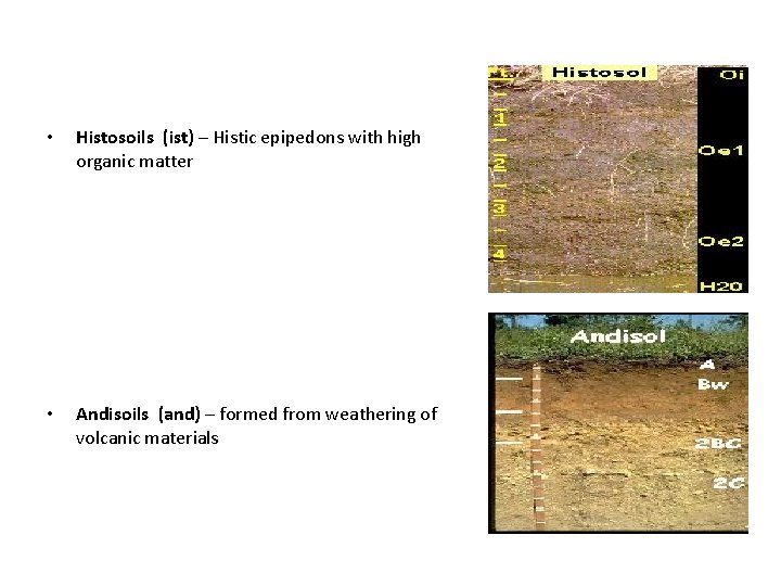  • Histosoils (ist) – Histic epipedons with high organic matter • Andisoils (and)