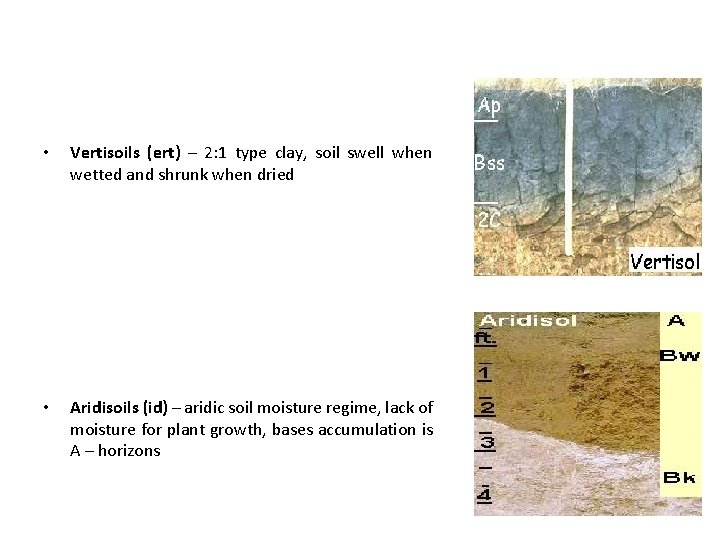  • Vertisoils (ert) – 2: 1 type clay, soil swell when wetted and