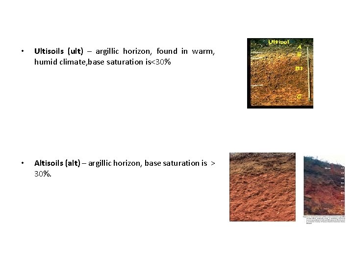  • Ultisoils (ult) – argillic horizon, found in warm, humid climate, base saturation