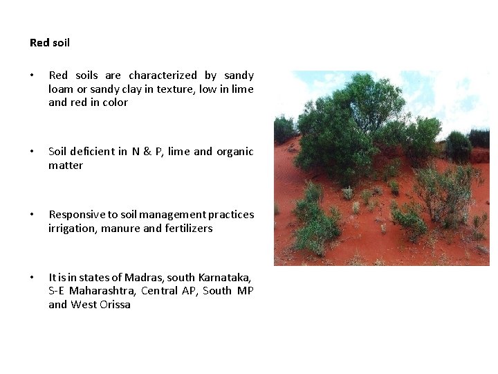 Red soil • Red soils are characterized by sandy loam or sandy clay in