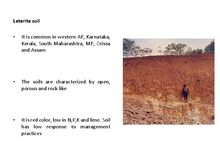 Laterite soil • It is common in western AP, Karnataka, Kerala, South Maharashtra, MP,