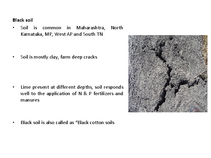 Black soil • Soil is common in Maharashtra, Karnataka, MP, West AP and South