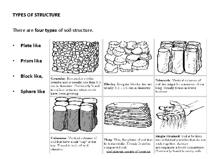 TYPES OF STRUCTURE There are four types of soil structure. • Plate like •
