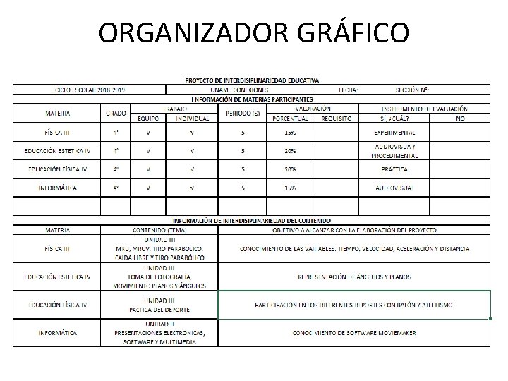 ORGANIZADOR GRÁFICO 