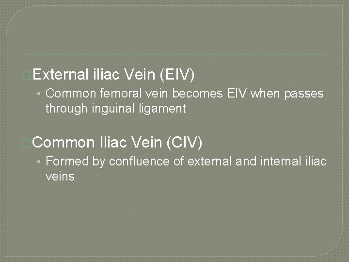 �External iliac Vein (EIV) • Common femoral vein becomes EIV when passes through inguinal