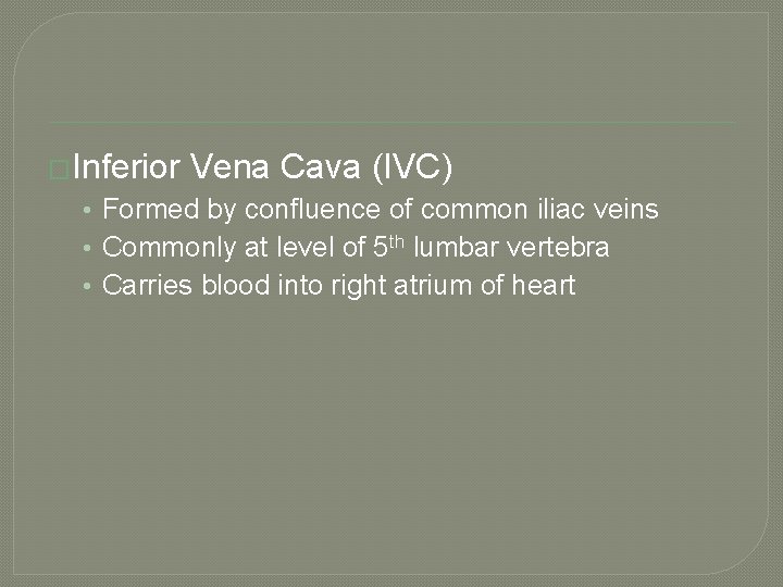 �Inferior Vena Cava (IVC) • Formed by confluence of common iliac veins • Commonly