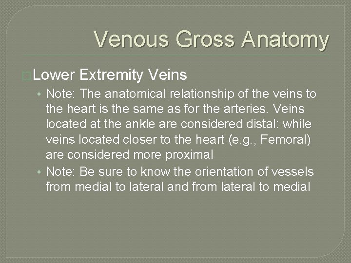 Venous Gross Anatomy �Lower Extremity Veins • Note: The anatomical relationship of the veins