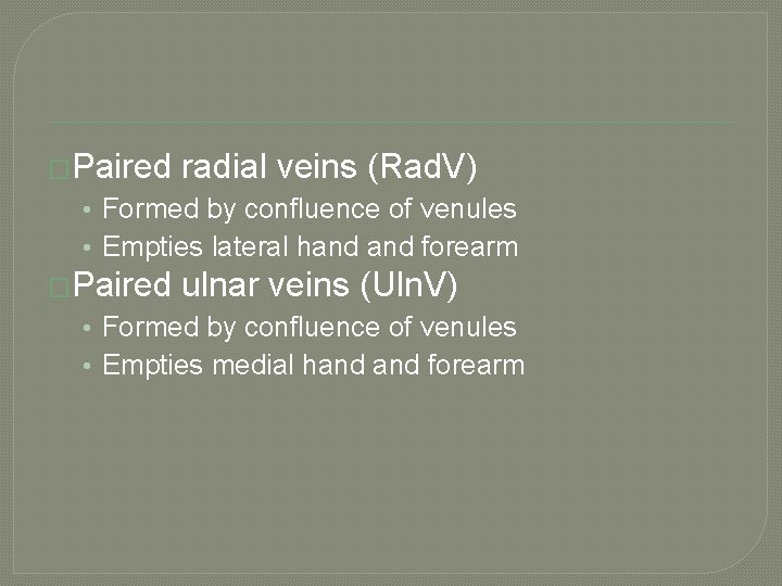 �Paired radial veins (Rad. V) • Formed by confluence of venules • Empties lateral