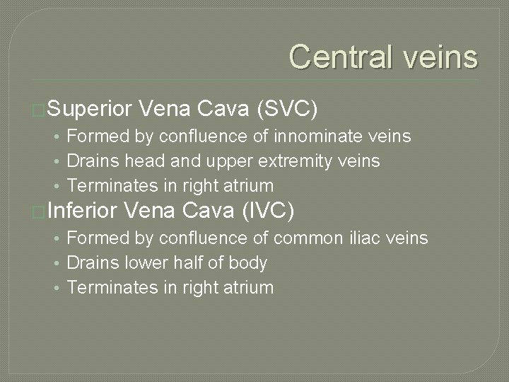 Central veins �Superior Vena Cava (SVC) • Formed by confluence of innominate veins •