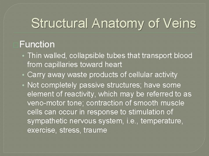 Structural Anatomy of Veins �Function • Thin walled, collapsible tubes that transport blood from