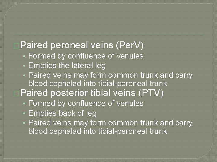 �Paired peroneal veins (Per. V) • Formed by confluence of venules • Empties the