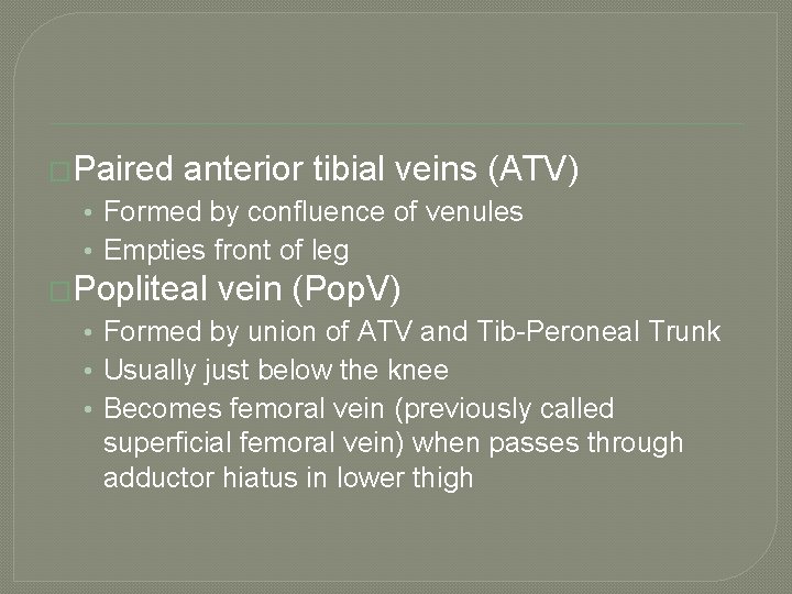 �Paired anterior tibial veins (ATV) • Formed by confluence of venules • Empties front