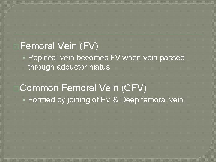 �Femoral Vein (FV) • Popliteal vein becomes FV when vein passed through adductor hiatus