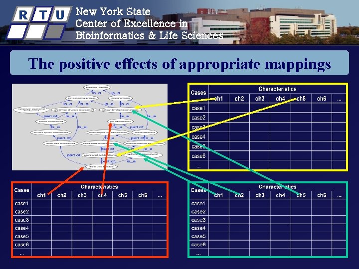 R T U New York State Center of Excellence in Bioinformatics & Life Sciences