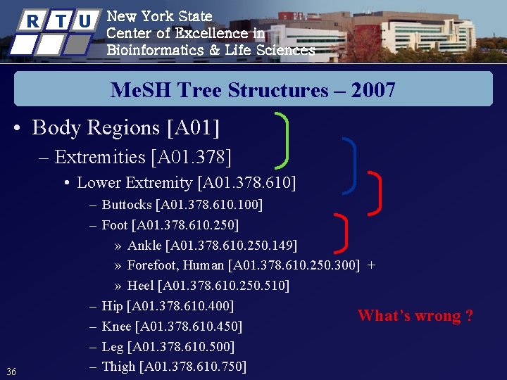 R T U New York State Center of Excellence in Bioinformatics & Life Sciences