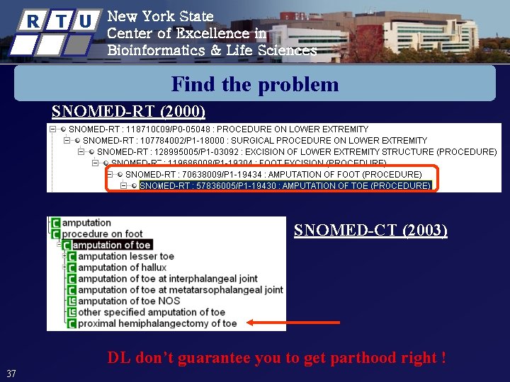 R T U New York State Center of Excellence in Bioinformatics & Life Sciences