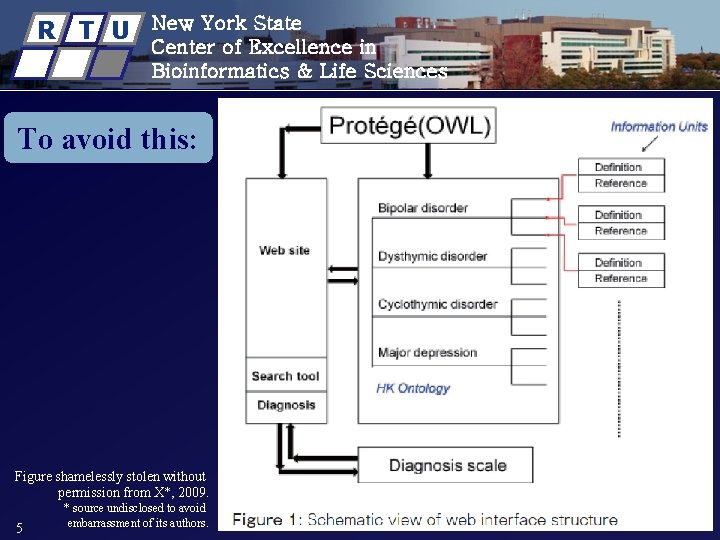 R T U New York State Center of Excellence in Bioinformatics & Life Sciences