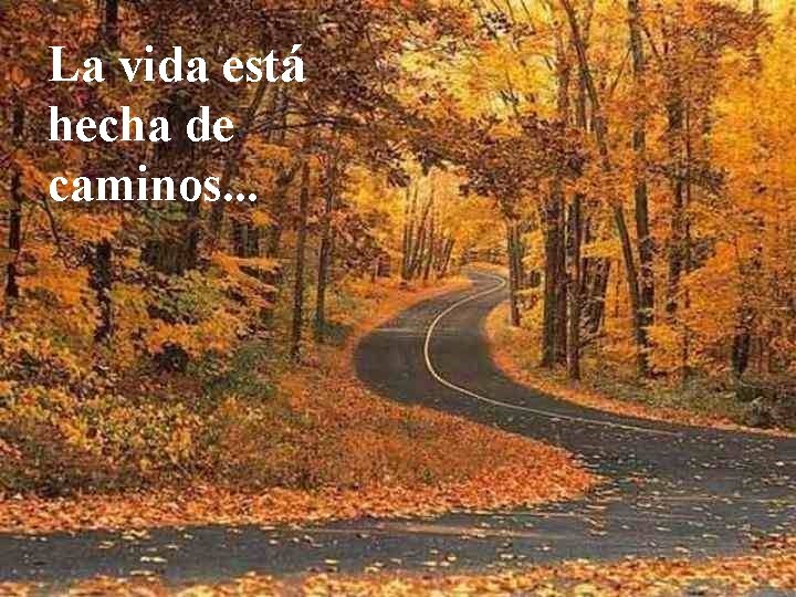 La vida está hecha de caminos. . . 