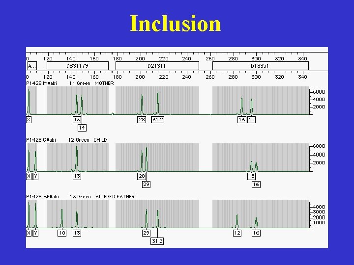 Inclusion 