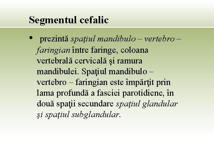 Segmentul cefalic • prezintă spaţiul mandibulo – vertebro – faringian între faringe, coloana vertebrală