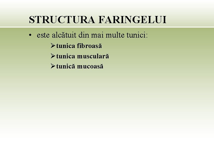 STRUCTURA FARINGELUI • este alcătuit din mai multe tunici: Øtunica fibroasă Øtunica musculară Øtunică