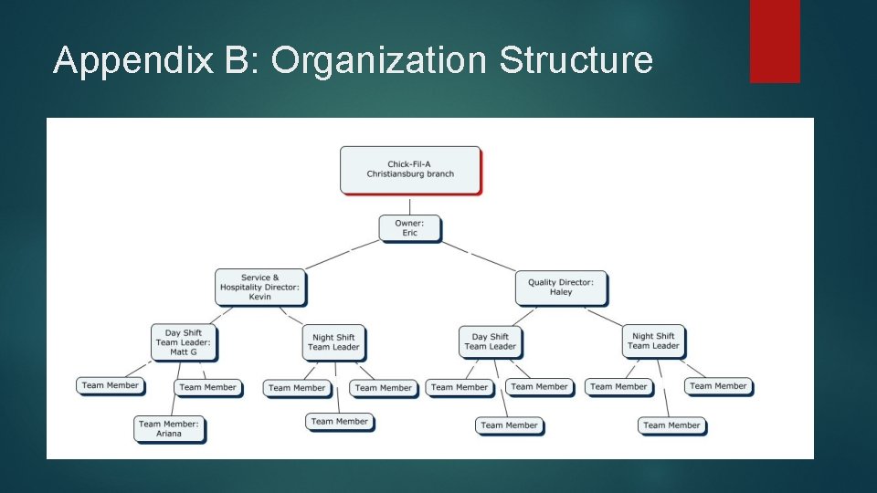 Appendix B: Organization Structure Appendix B: Organization Structure