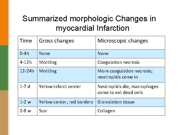 Summarized morphologic Changes in myocardial Infarction Time Gross changes Microscopic changes 0 -4 h
