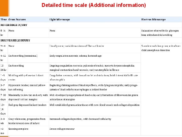Detailed time scale (Additional information) 