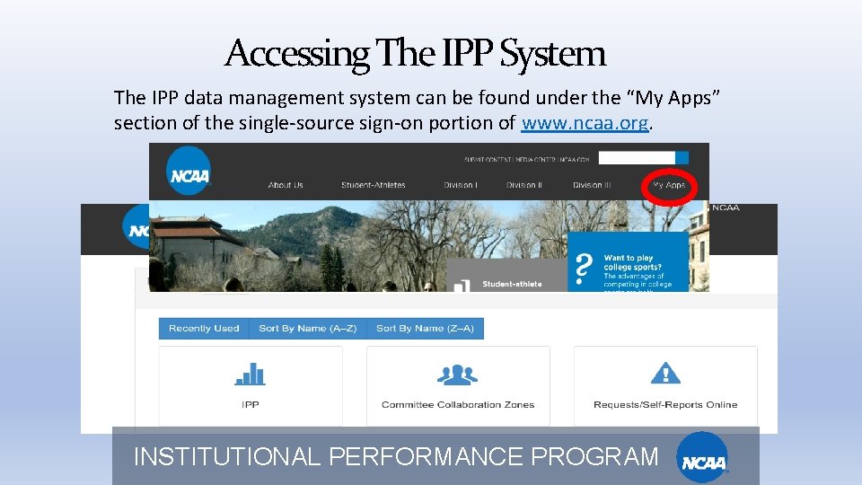 Accessing The IPP System The IPP data management system can be found under the