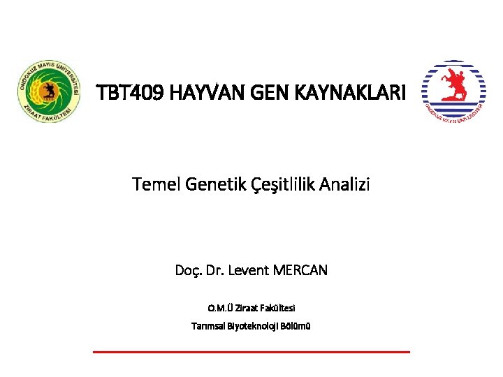 TBT 409 HAYVAN GEN KAYNAKLARI Temel Genetik Çeşitlilik Analizi Doç. Dr. Levent MERCAN O.