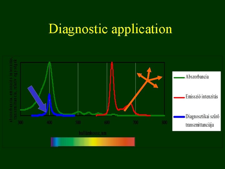 Diagnostic application 