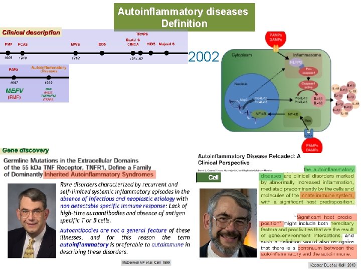 Autoinflammatory diseases Definition 2002 