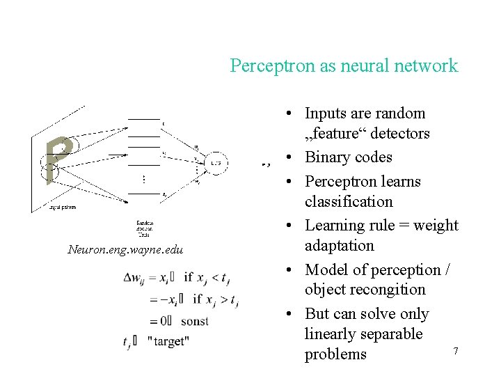 Perceptron as neural network Neuron. eng. wayne. edu • Inputs are random „feature“ detectors