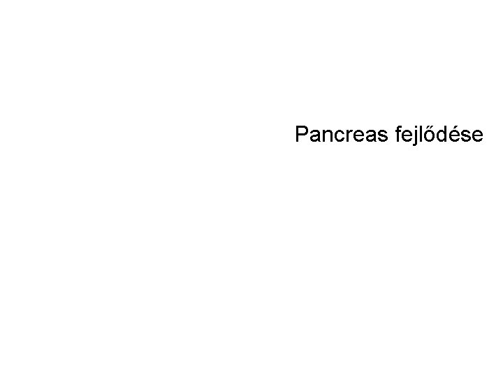 Pancreas fejlődése 