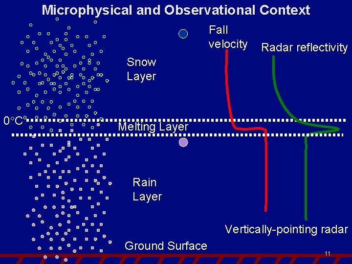 Microphysical and Observational Context Fall velocity Radar reflectivity Snow Layer 0 C Melting Layer