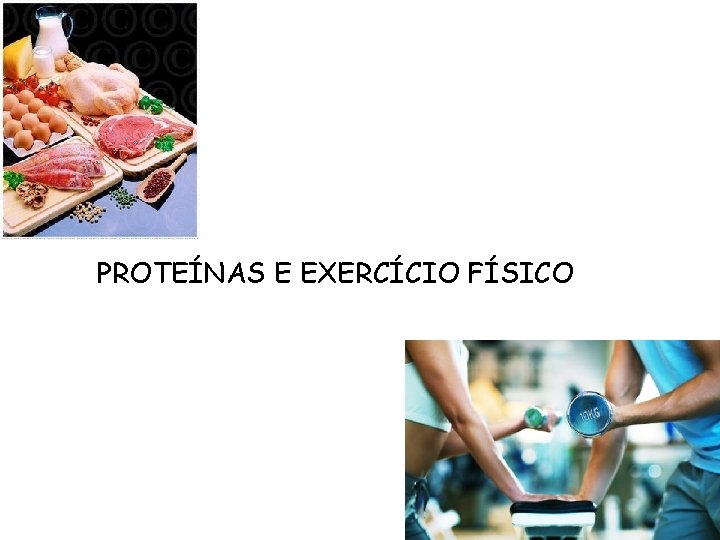 PROTEÍNAS E EXERCÍCIO FÍSICO 